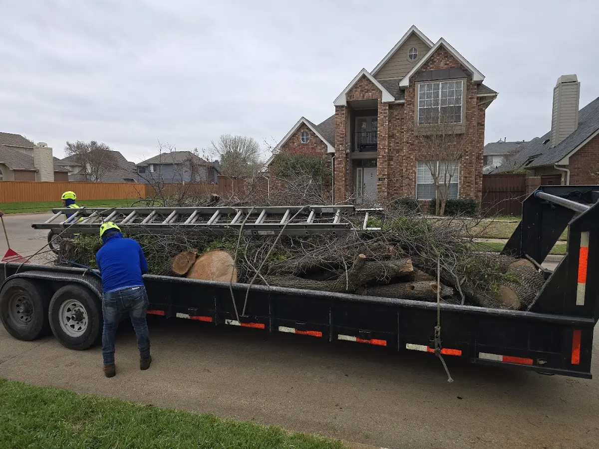 Expert Tree Pest Control with proper safety equipment in Dahlgren